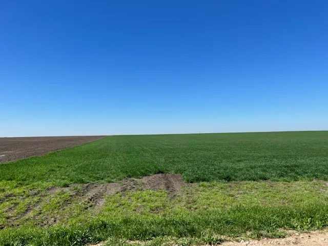 3 CR 355 Rosebud, TX 76519