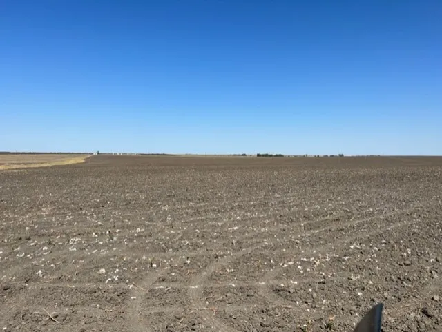 3 CR 355 Rosebud, TX 76519