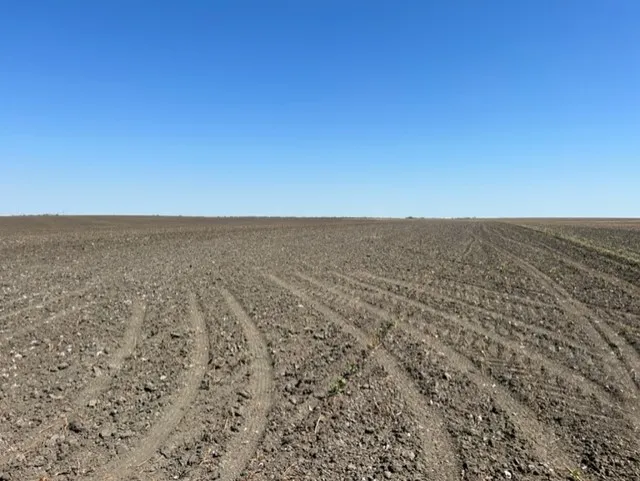 3 CR 355 Rosebud, TX 76519