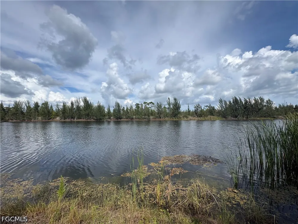 Doug Taylor Circle St James City, FL 33956