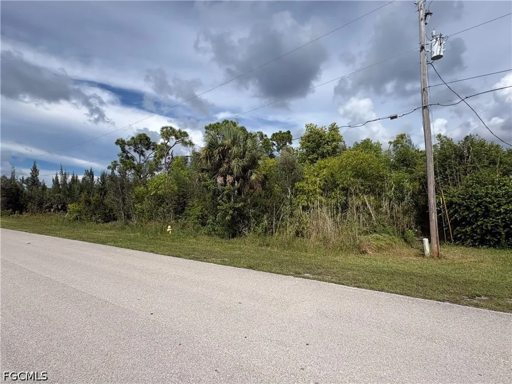 Doug Taylor Circle St James City, FL 33956
