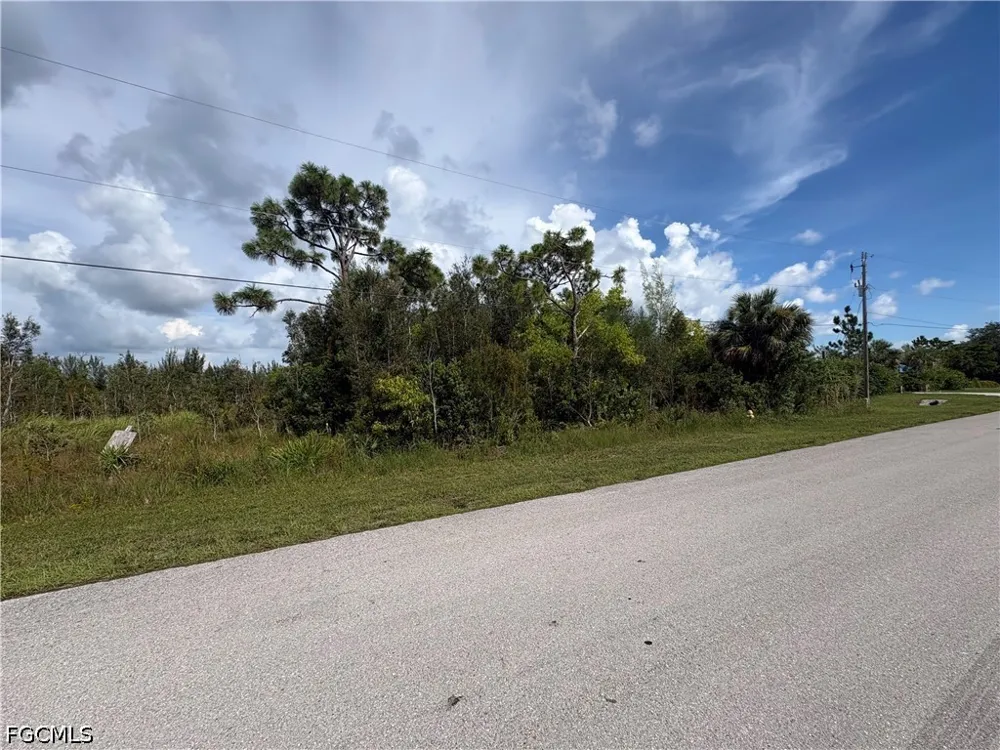 Doug Taylor Circle St James City, FL 33956