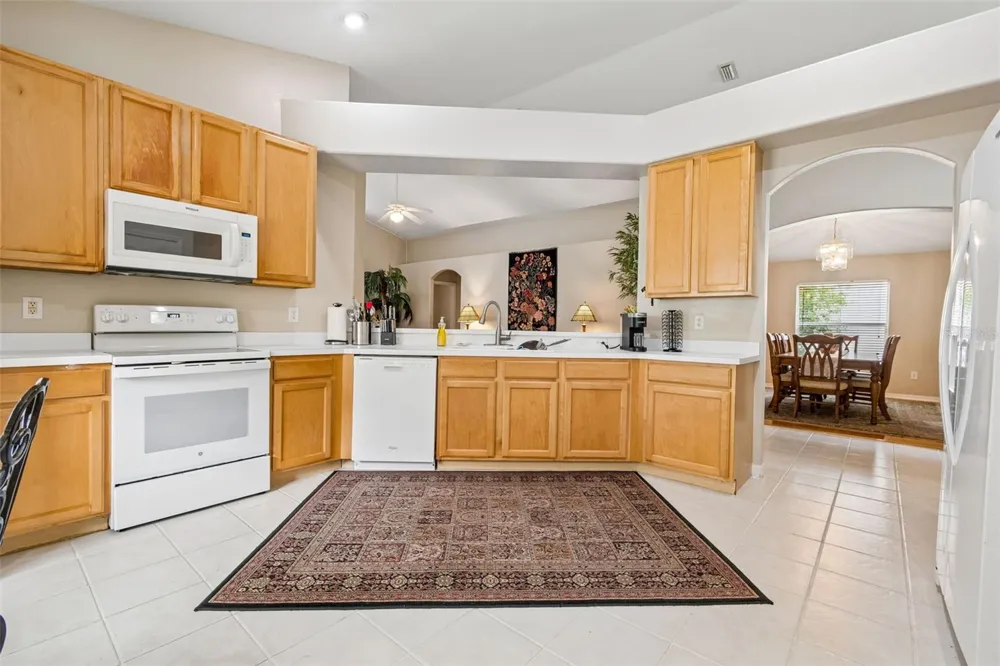 19308 SANDY SPRINGS CIRCLE Lutz, FL 33558