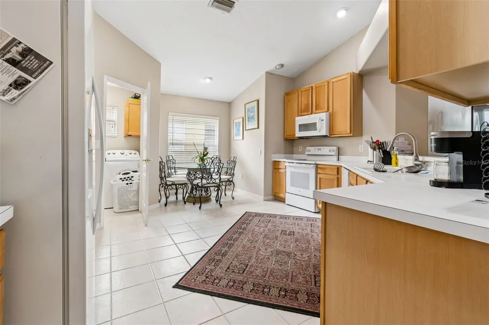 19308 SANDY SPRINGS CIRCLE Lutz, FL 33558