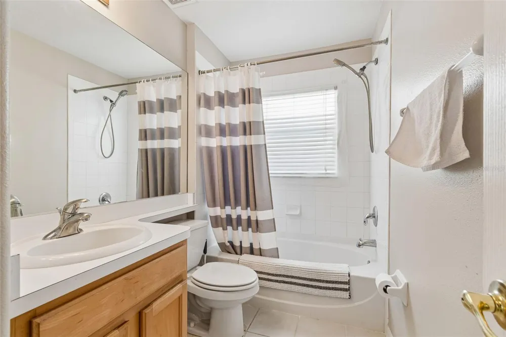 19308 SANDY SPRINGS CIRCLE Lutz, FL 33558