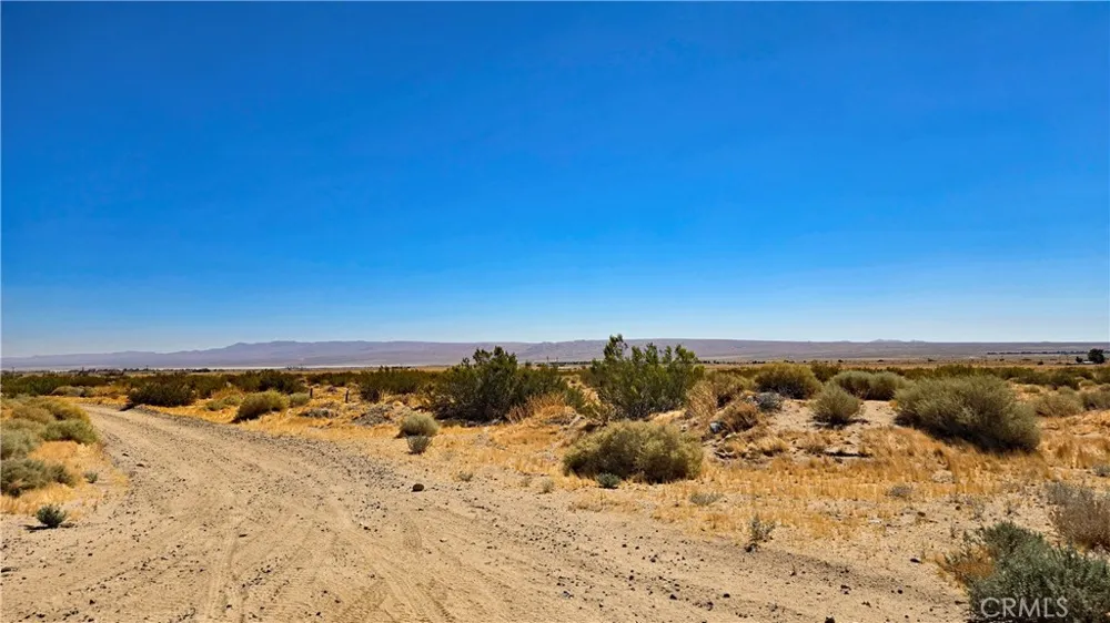 Cholla Rd Cantil, CA 93519