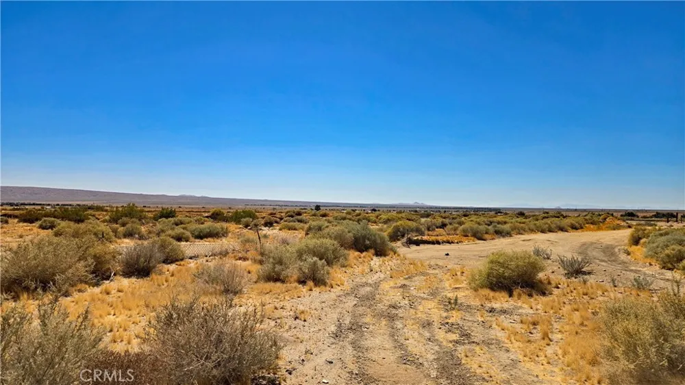 Cholla Rd Cantil, CA 93519