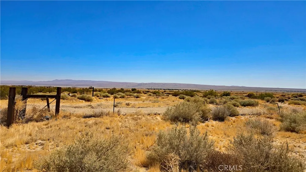 Cholla Rd Cantil, CA 93519