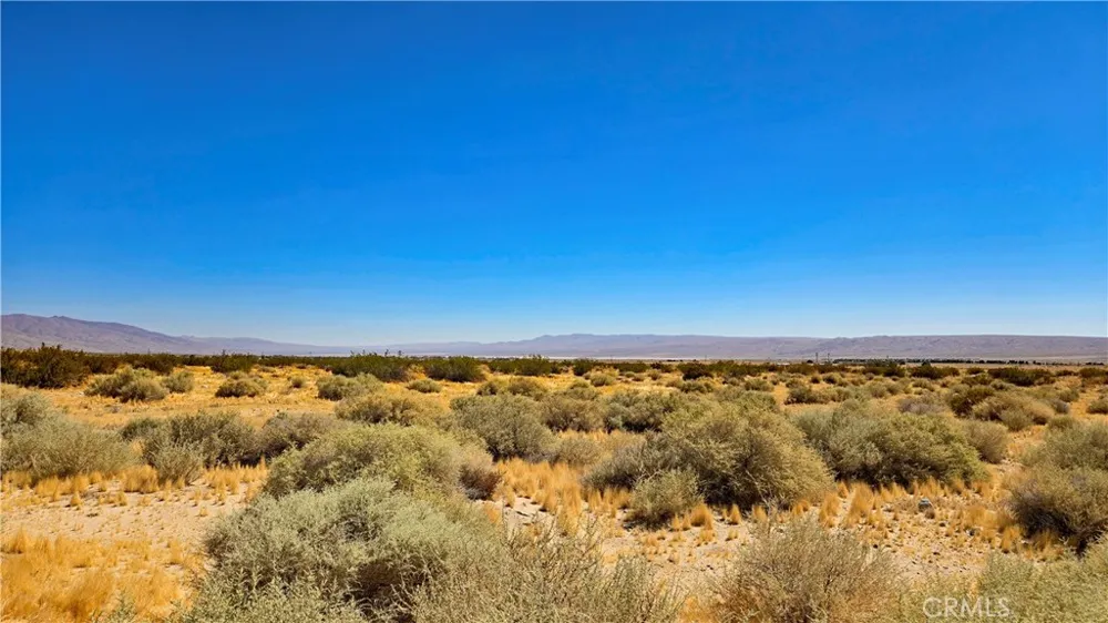 Cholla Rd Cantil, CA 93519