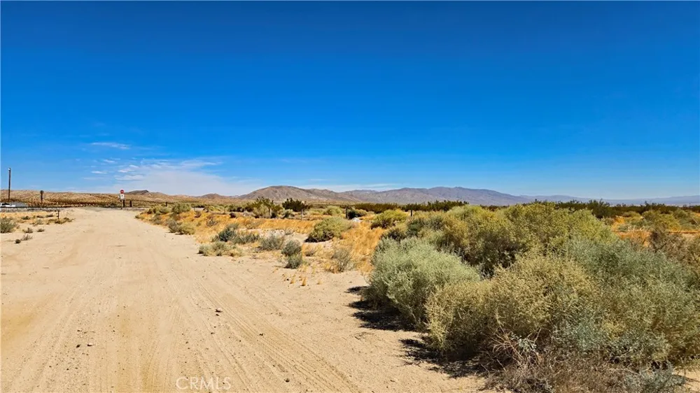 Cholla Rd Cantil, CA 93519
