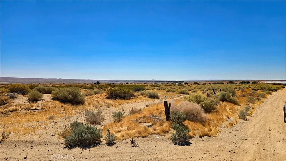 Cholla Rd Cantil, CA 93519