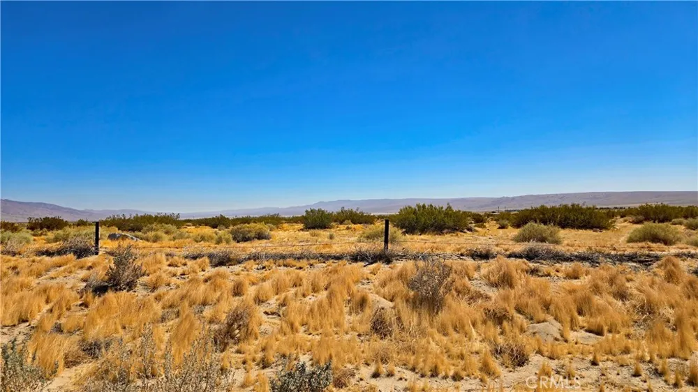 Cholla Rd Cantil, CA 93519