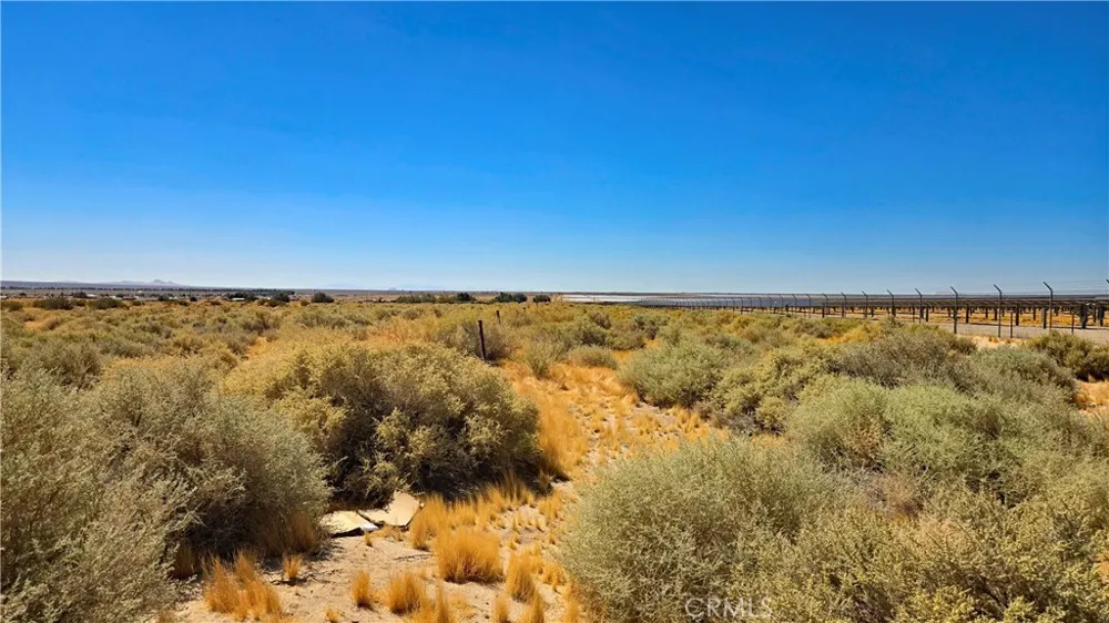 Cholla Rd Cantil, CA 93519