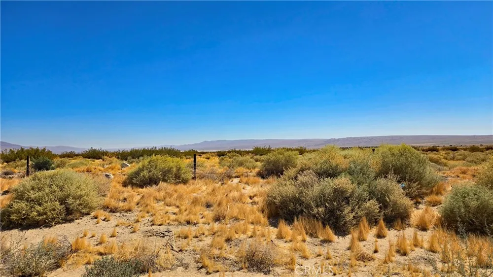 Cholla Rd Cantil, CA 93519