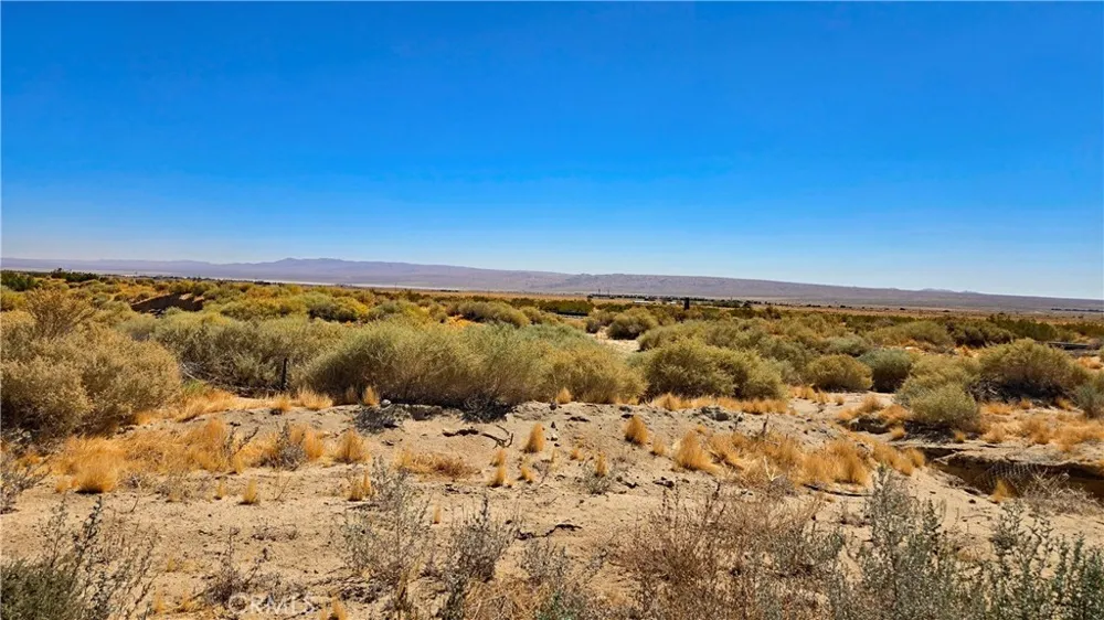Cholla Rd Cantil, CA 93519