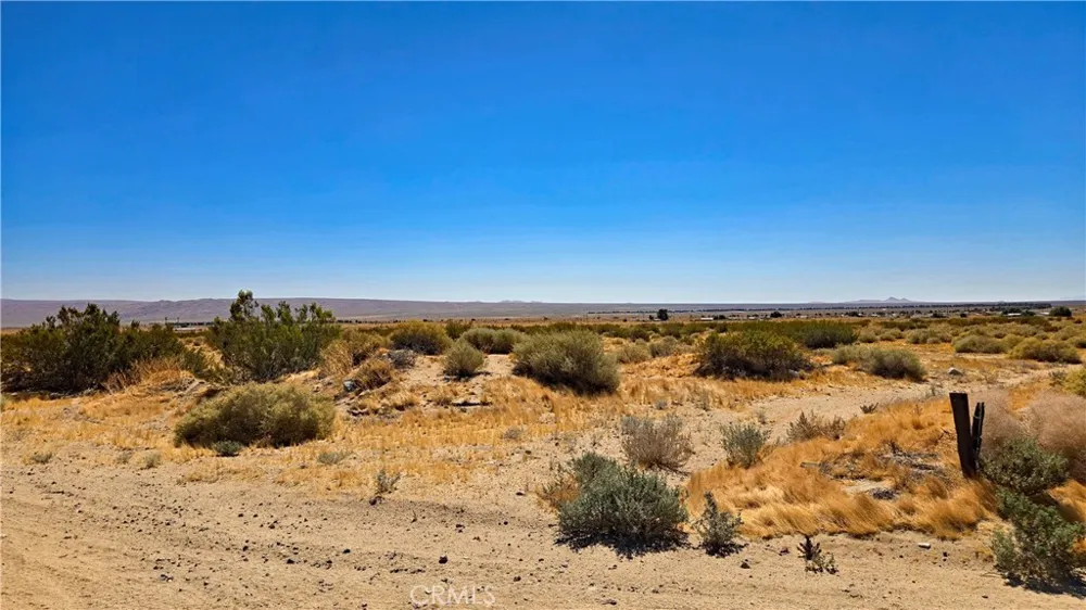Cholla Rd Cantil, CA 93519