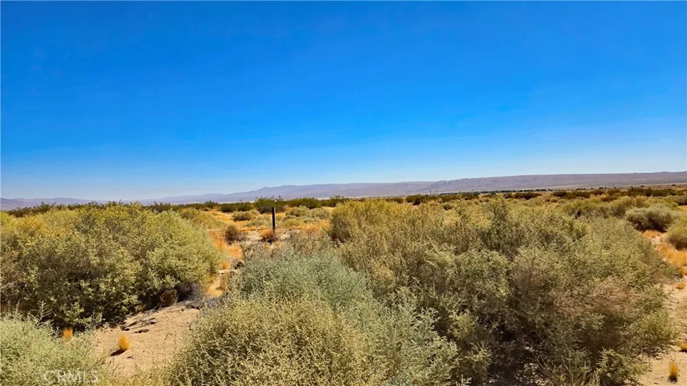 Cholla Rd Cantil, CA 93519