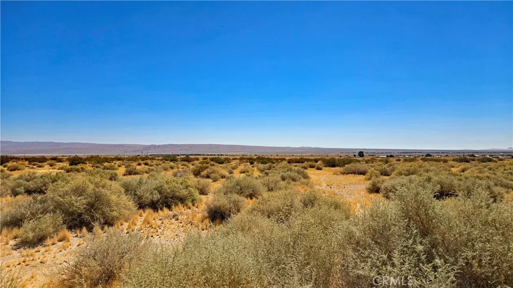Cholla Rd Cantil, CA 93519