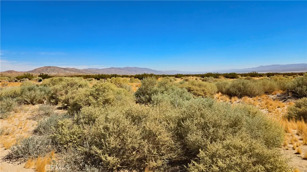 Cholla Rd Cantil, CA 93519