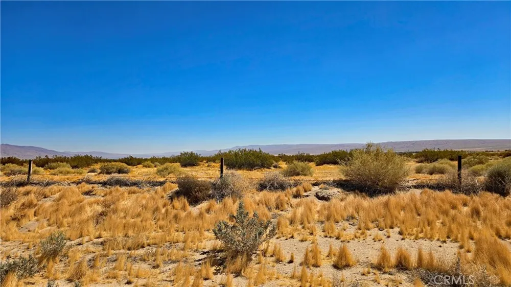 Cholla Rd Cantil, CA 93519