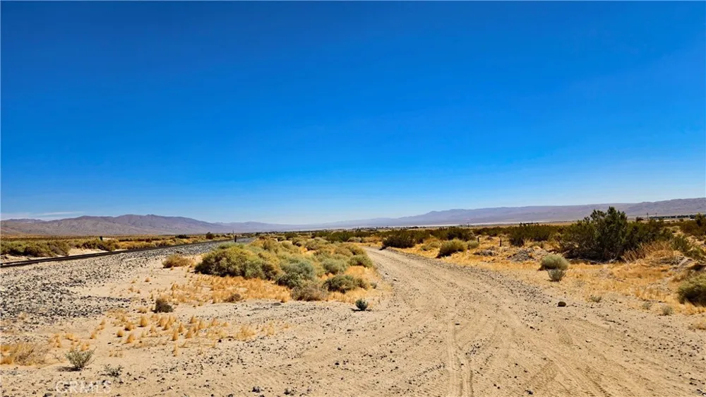 Cholla Rd Cantil, CA 93519