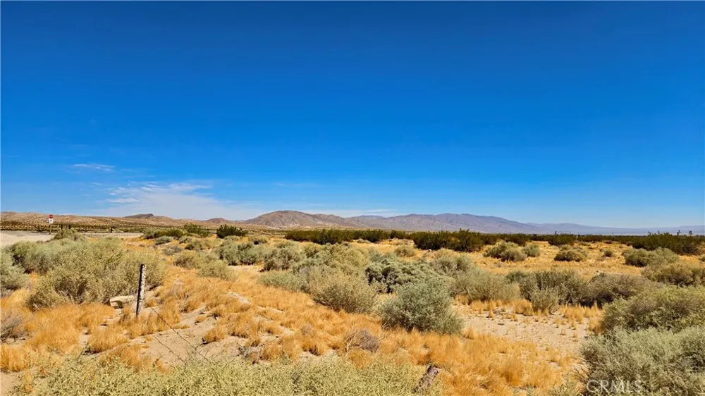 Cholla Rd Cantil, CA 93519