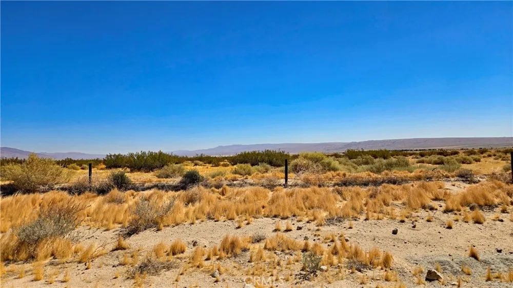 Cholla Rd Cantil, CA 93519