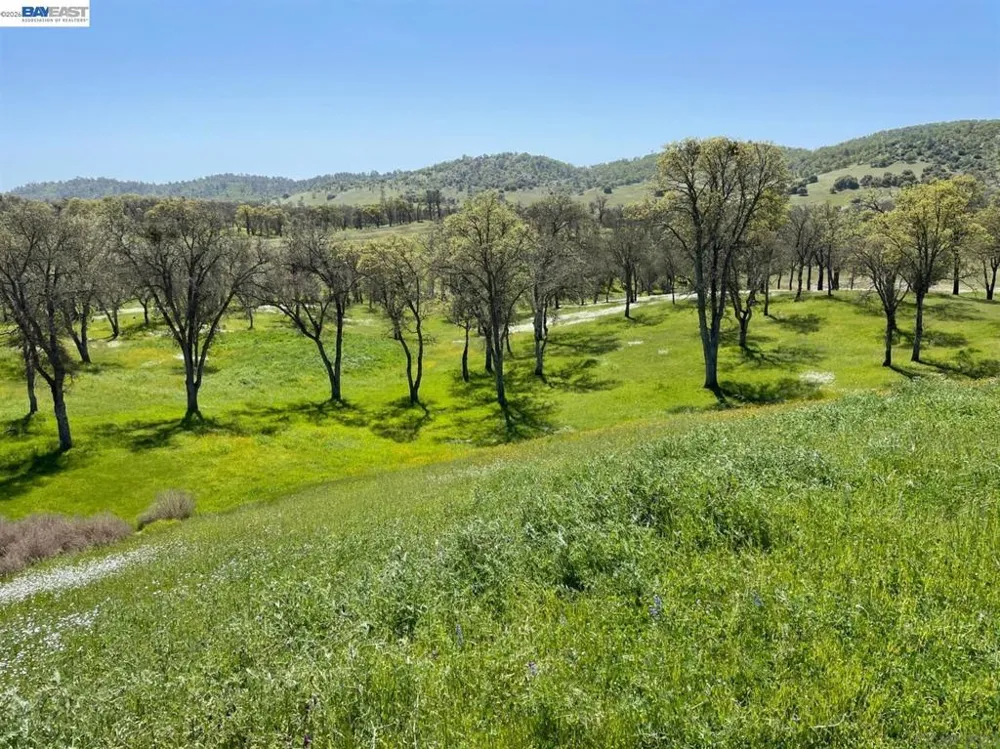 345 Hawkridge Road Copperopolis, CA 95228