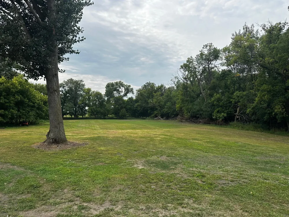 405 Main Street Alberta, MN 56207