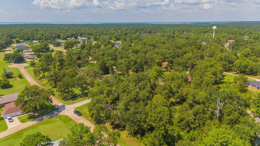 Deep Woods Lane Livingston, TX 77351