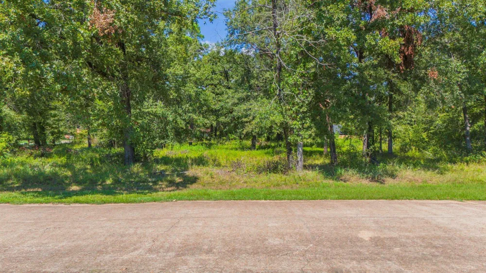 Deep Woods Lane Livingston, TX 77351