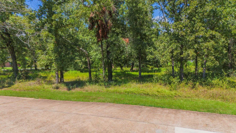 Deep Woods Lane Livingston, TX 77351