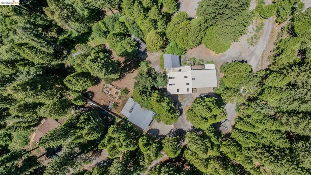 2495 Hangtree Trail Arnold, CA 95223