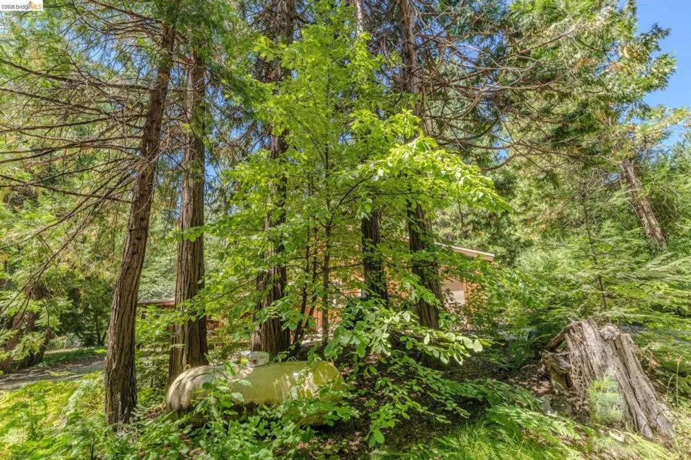 2495 Hangtree Trail Arnold, CA 95223