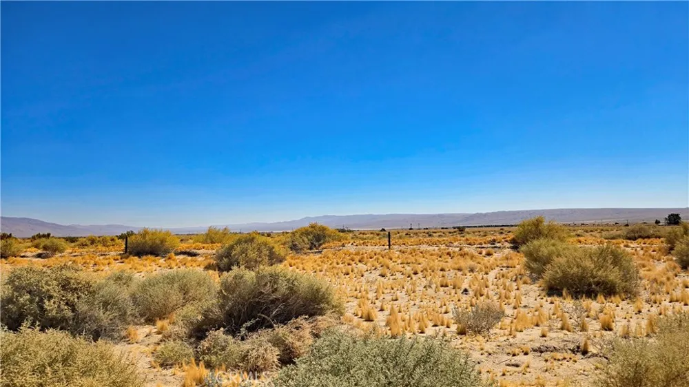 Cholla Rd near Munsey Rd Cantil, CA 93519