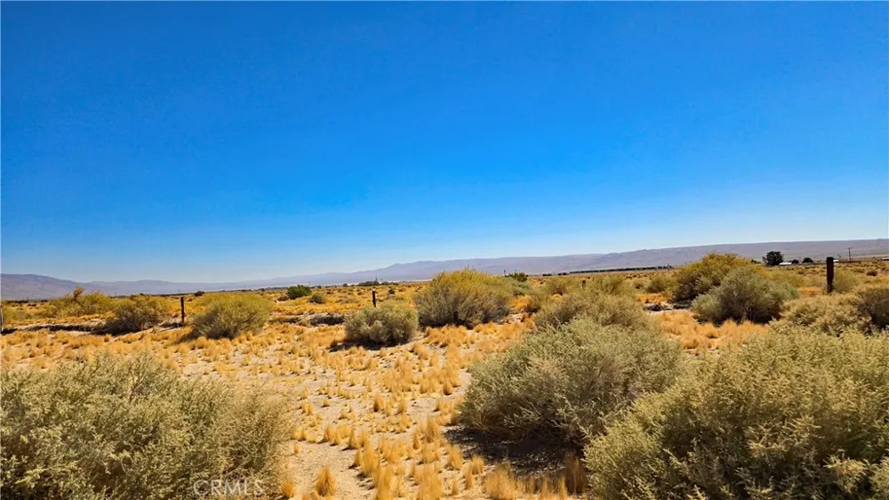 Cholla Rd near Munsey Rd Cantil, CA 93519