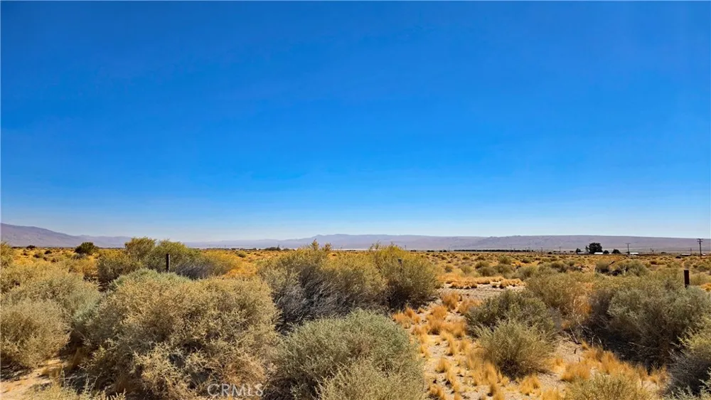 Cholla Rd near Munsey Rd Cantil, CA 93519