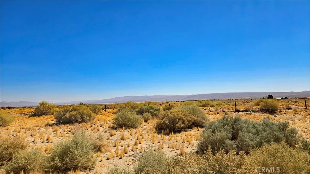 Cholla Rd near Munsey Rd Cantil, CA 93519