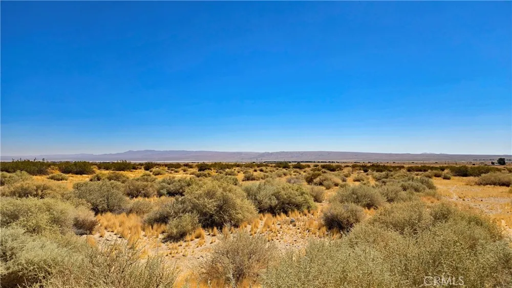 Cholla Rd near Munsey Rd Cantil, CA 93519