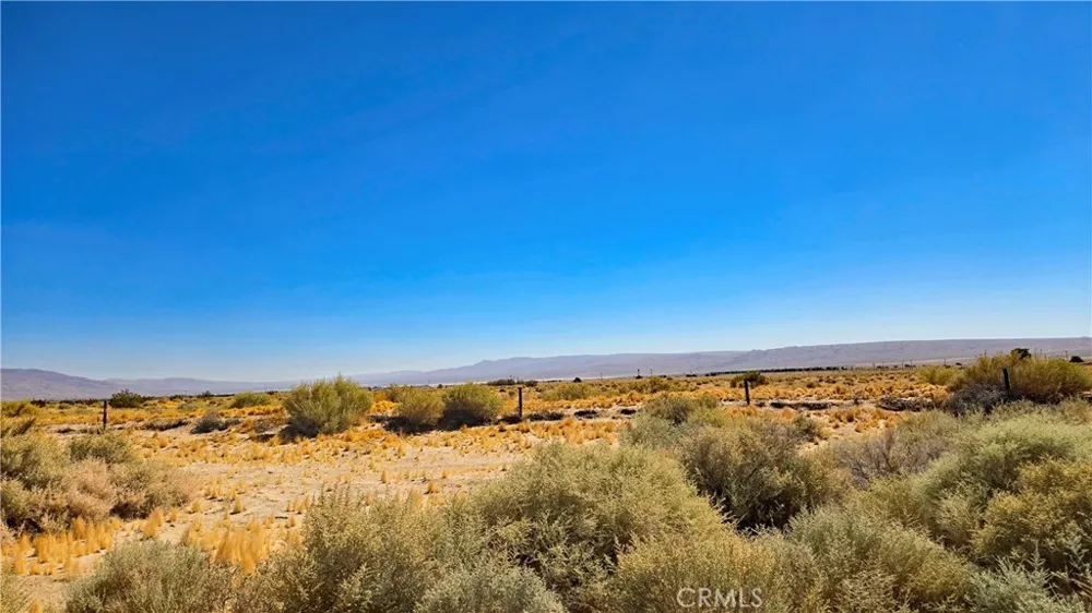 Cholla Rd near Munsey Rd Cantil, CA 93519