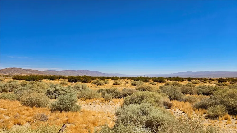 Cholla Rd near Munsey Rd Cantil, CA 93519