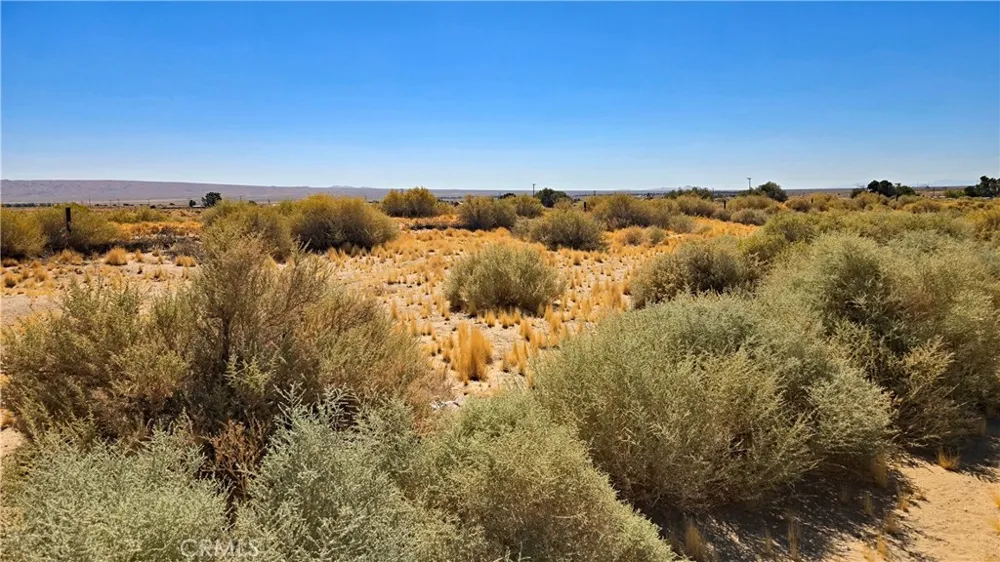 Cholla Rd near Munsey Rd Cantil, CA 93519