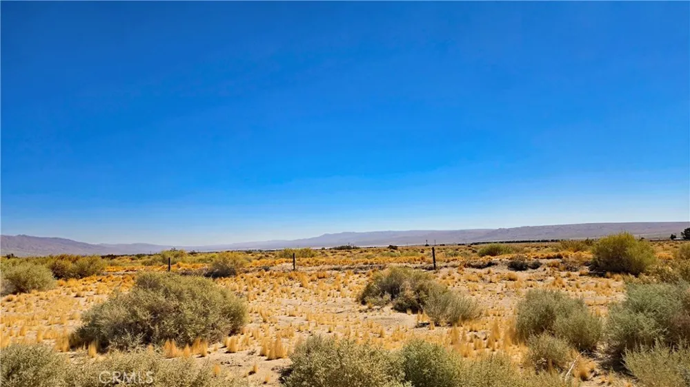 Cholla Rd near Munsey Rd Cantil, CA 93519