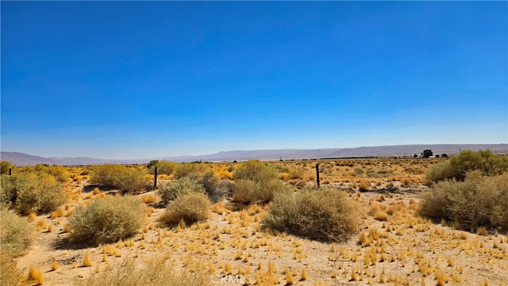 Cholla Rd near Munsey Rd Cantil, CA 93519