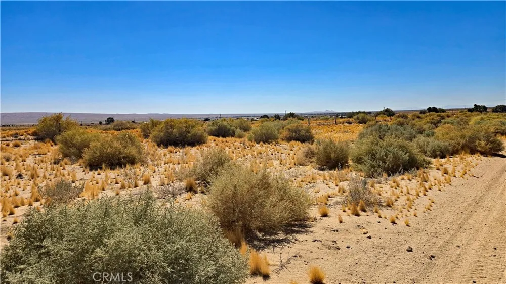 Cholla Rd near Munsey Rd Cantil, CA 93519