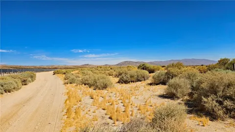 Cholla Rd near Munsey Rd