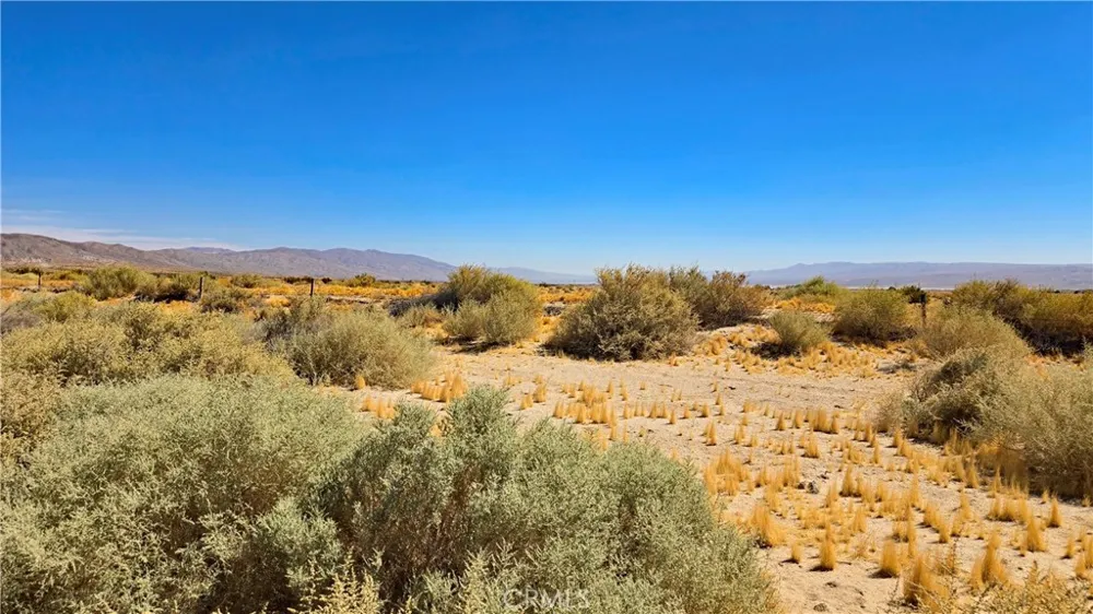 Cholla Rd near Munsey Rd Cantil, CA 93519