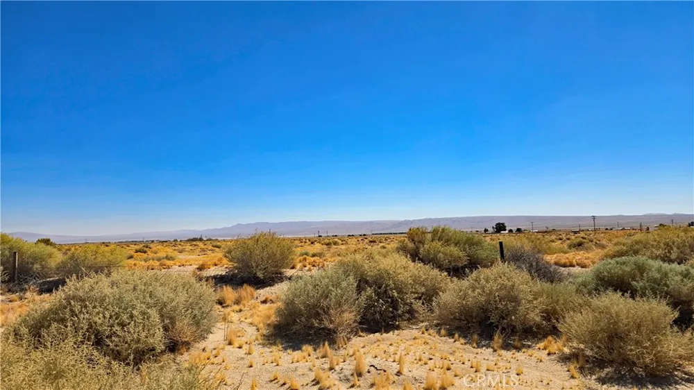 Cholla Rd near Munsey Rd Cantil, CA 93519