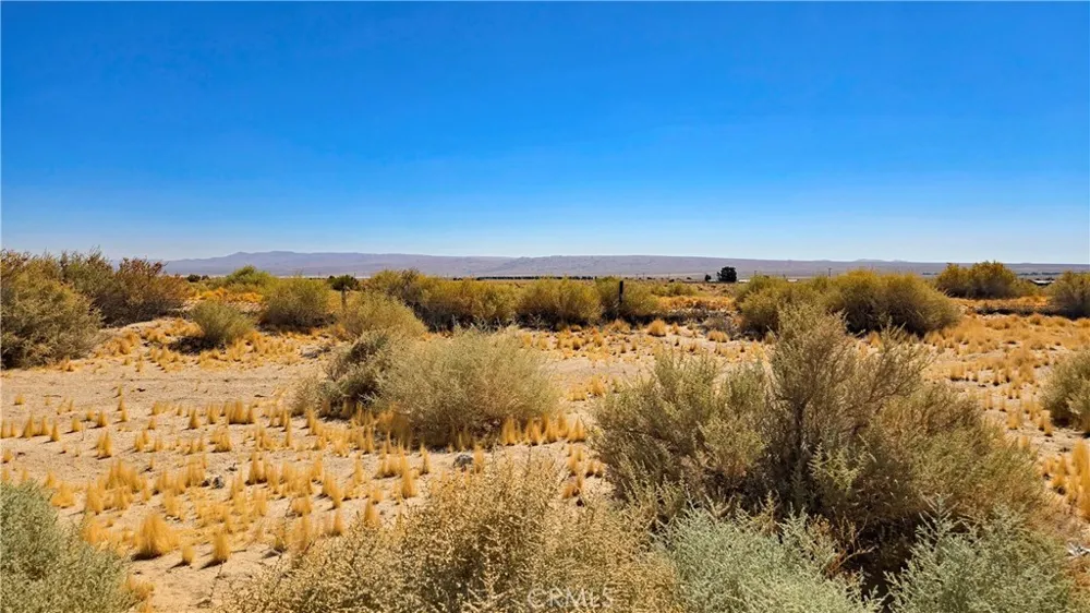 Cholla Rd near Munsey Rd Cantil, CA 93519