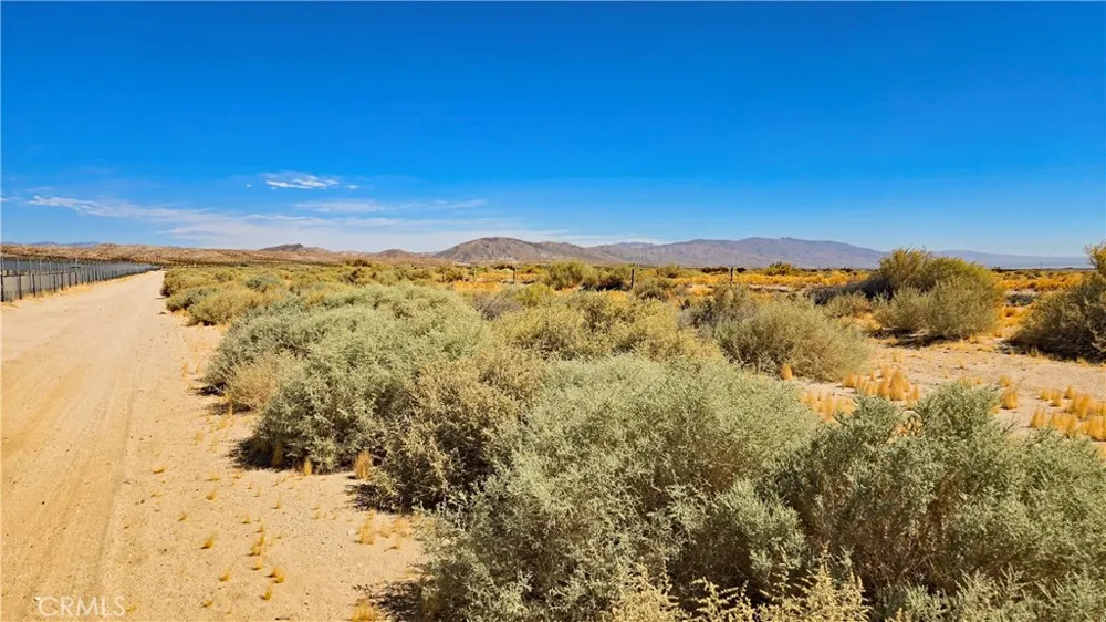 Cholla Rd near Munsey Rd Cantil, CA 93519